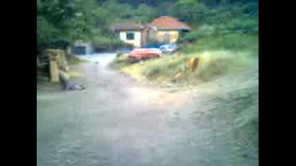 Dvama Amatiori