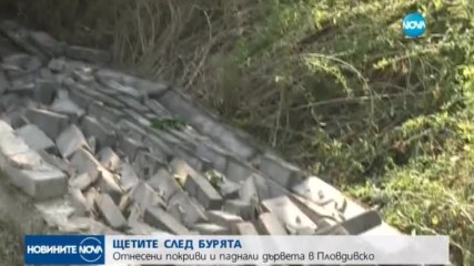 ЩЕТИТЕ СЛЕД БУРЯТА: Отнесени покриви и паднали дървета в Пловдивско