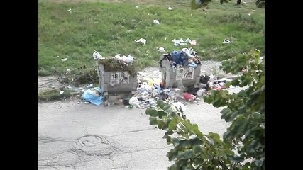 боклука в ж. к. Младост гр. Враца