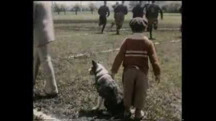 Levis Tackle