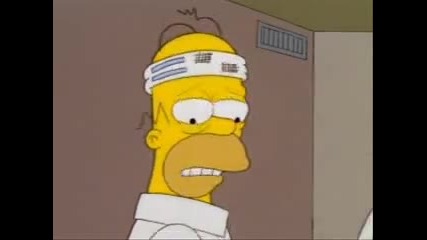 Homer Simpson - Parodi 