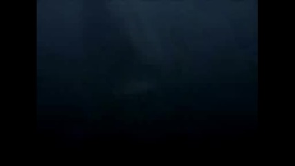 Mega Shark vs Giant Octopus trailer