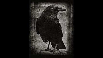 D Maniac - Big Black Bird