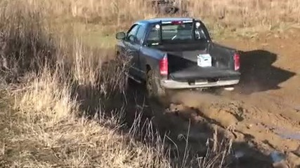 Mud Fest 