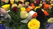 Рози с бурки посрещат в Салона на галериите