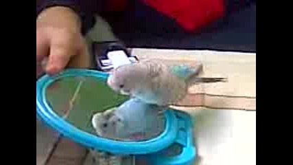 коко