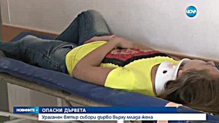 Клони на дърво паднаха върху учителка в Пловдив