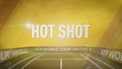 Federer vs Dolgopolov - Indian Wells 2014 - Hot Shot By Federer!