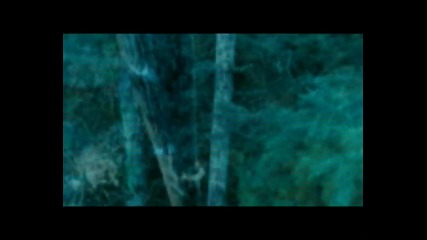 twilight, h2o, th, oth, and dr. 