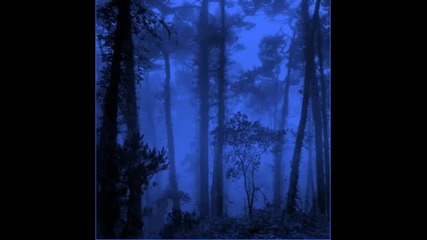 Forest - 10 Nothing Else Will Matter