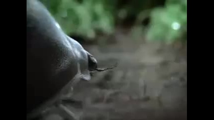 Volkswagen Beetle 2011 Super Bowl Xlv television commercial 