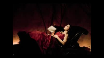 Amy Lee Fan Video