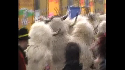 Кукери от Хърватия на Сурва 2010г. в гр.перник