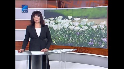 Ухание на 7 млн. вида цветя - Цветна мечта