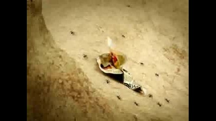 Minuscule The Flying ants