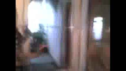 Anity