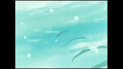 Avatar: The Last Airbender - Swamp Skiin Throwdown