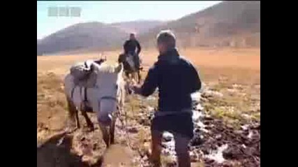 Езда понита и монголска борба - племе