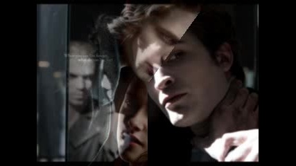Twilight.flv
