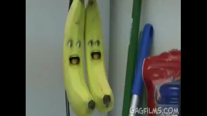 Досадния Портокал Банана Го е Страх :d 