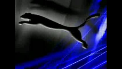 nad zakona-moje da si lud