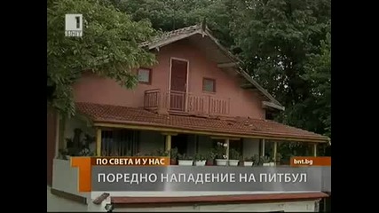 Поредно нападение на куче-убиец във Враца