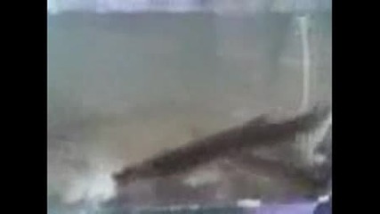 zmiorki v akvarium.avi 
