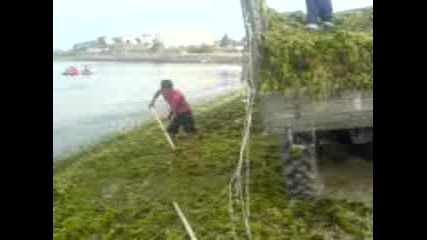 Plaja 2007