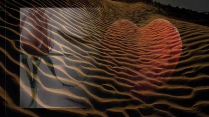 Lily of sand