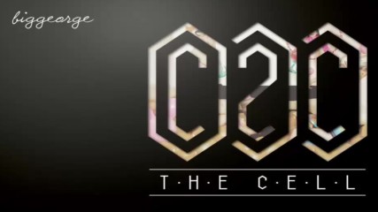 C2c - The Cell