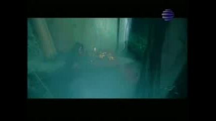 Preslava - Video Mix