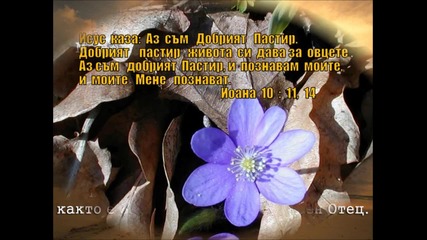 ден с Бог