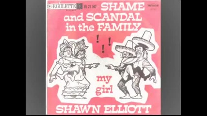 Shawn Elliott - Shame And Scandal In The Family