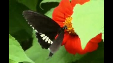 Test.