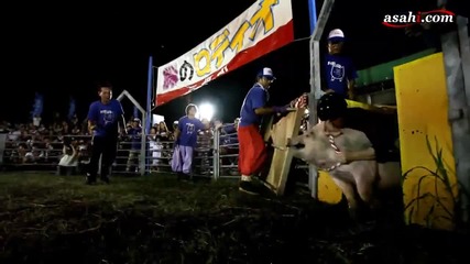 Лудо родео