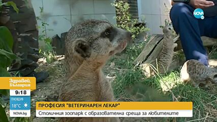Лятно зооучилище в Зоологическата градина в София