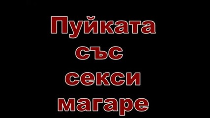 Бюрм ска _ Firom ска игра със сръбско магаре