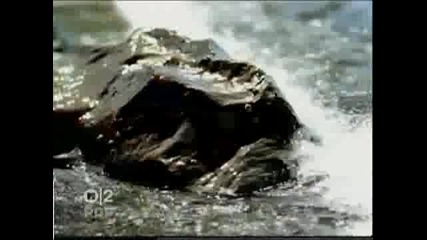No Angels - Still In Love With You