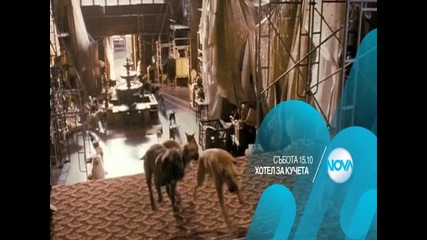 „Хотел за кучета” на 2 януари от 15.10 ч. по Нова