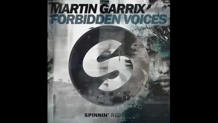 *2015* Martin Garrix - Forbidden voices