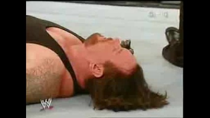 Survivor Series 2004 - The Undertaker vs Heidenreich