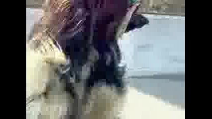 25022012038