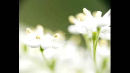 90 Best Nature Wallpapers | Underground sky - us zzzz