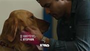"Невероятният живот на Енцо" на 14 април, вторник от 21.00 ч. по KINO NOVA