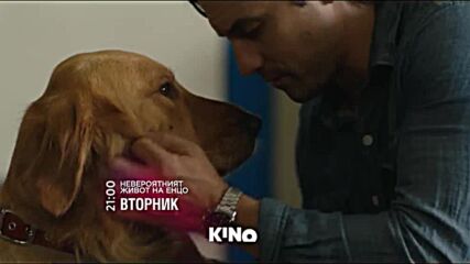 "Невероятният живот на Енцо" на 14 април, вторник от 21.00 ч. по KINO NOVA