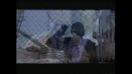 2pac video