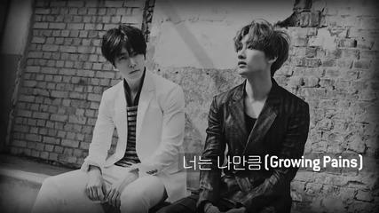 • • Super Junior [ { D & E } ] The Beat Goes On [ Highlight Medley ] • •