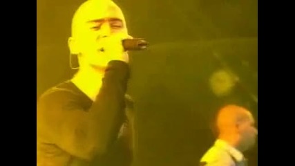 Live - Voodoo Lady 