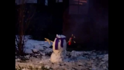 гавра с снежен човек 
