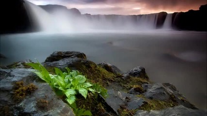Franzis-d - Life Cycle (original Mix)